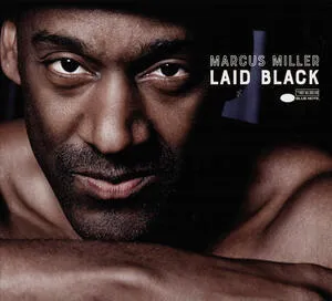 Laid black